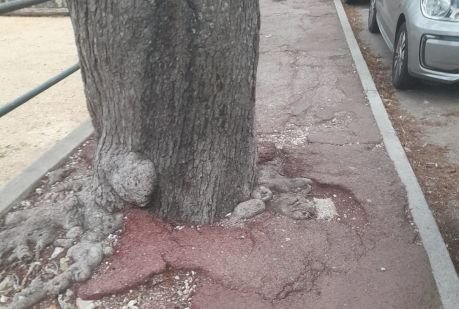 Chaussée et trottoir à entretenir