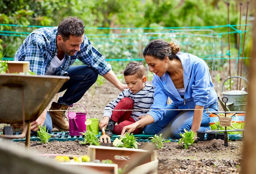 Jardins partagés et lien social